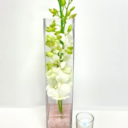 White orchid stems in a tall glass vase with pink stones and a small candle beside it