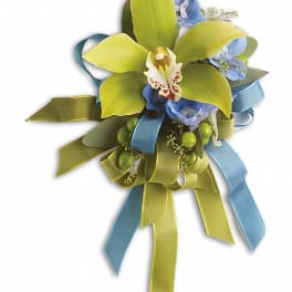 Corsage with green orchid and blue flowers tied with ribbons