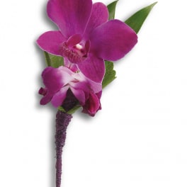 Purple orchid boutonniere with green leaves