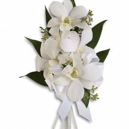 White orchid bouquet with ribbon and dark green leaves