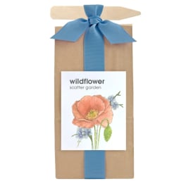 Wildflower Seed Kit