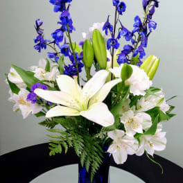 Blue and white flower arrangement in a tall cobalt vase