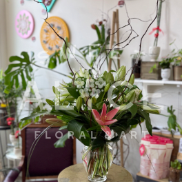 Lily Love