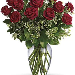One Dozen Long Stemmed Red Roses