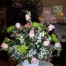 Pretty in Pink
