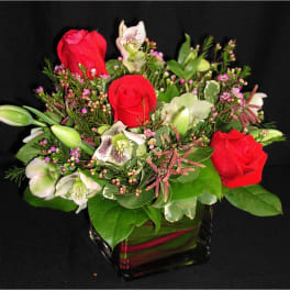 Helebore Rose Cube