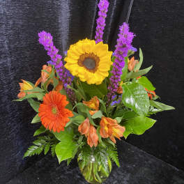 Cat Dad