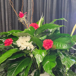 Adorned Peace lily