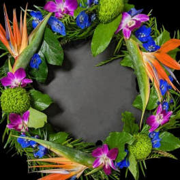 Tropical Ocean Wreath
