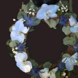 Phalaenopsis Orchid Wreath