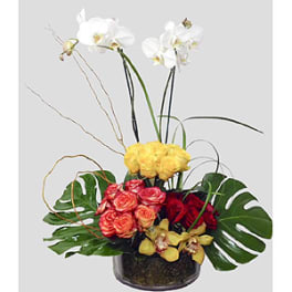 Orchid arrangement with yellow and red roses in a glass vase