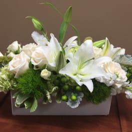 White Elegance