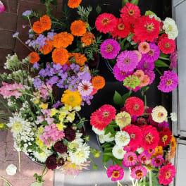 Assorted colorful flower bunches with zinnias and marigolds laid out on a dark surface