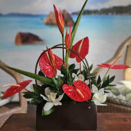 Tropical floral arrangement with red anthuriums and white orchids in a dark container