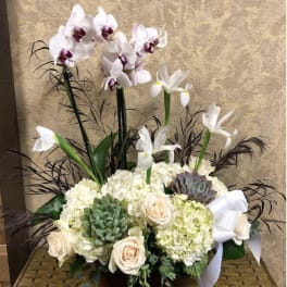 Tall floral arrangement with orchids, hydrangeas, roses, and succulents in a low container