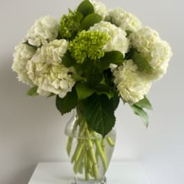White hydrangea bouquet in a clear glass vase