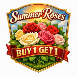 Graphic of multicolored roses with a "Summer Roses" and "Buy 1 Get 1" banner