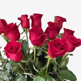 Bouquet of red roses with green foliage