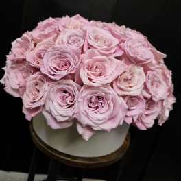 Cotton Candy Roses