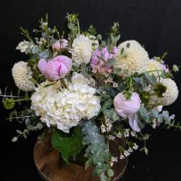 queen fleur Peony