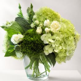 Green hydrangeas and white roses in a clear glass vase