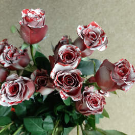 Bouquet of red and white roses with green foliage
