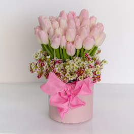 Cotton Candy - Pasadena Florist