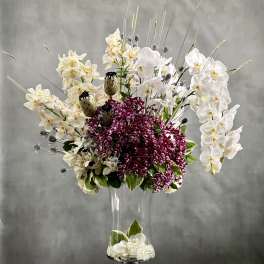 Designers Choice - Grand Orchid Bliss - Pasadena Florist