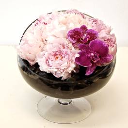 Pink Peony Bowl - Pasadena Florist