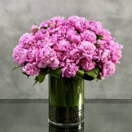 Hot to Trot Peonies - Pasadena Florist