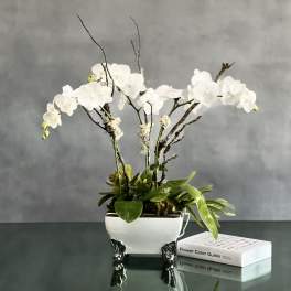 Perfect Harmony - Pasadena Florist