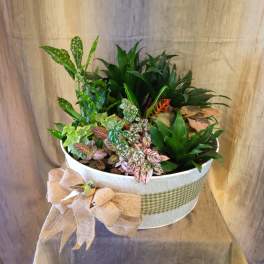 Graceful Garden