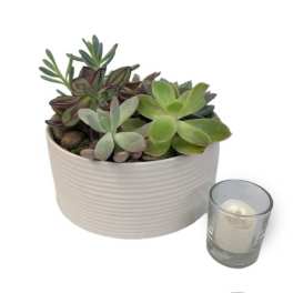 Succulent arrangement in a white bowl with a small glass candle