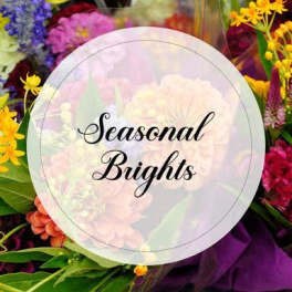 Bright Colors