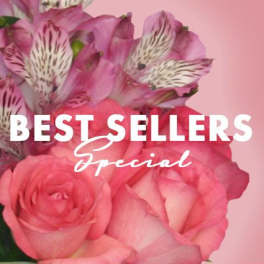 Designer's Choice by Flower A Day
