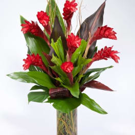 Red tropical flowers in a tall glass vase