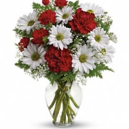 Red carnations and white daisy flowers arranged in a clear glass vase