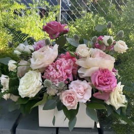 All Things PINK