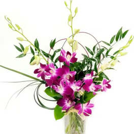 Purple orchids in a glass vase with arching stems and greenery