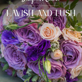 Lavish and Lush