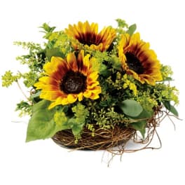 Sunflower arrangement in a low woven nest basket