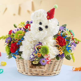 White flower dog in a wicker basket with colorful blooms and ribbons