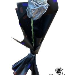 Single metallic silver rose wrapped in black paper