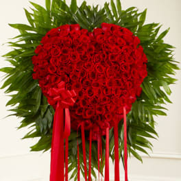 Red Rose Bleeding Heart