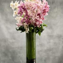 Climbing the Ladder - Pasadena Florist