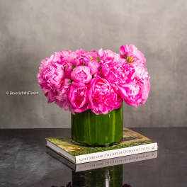 Elegant Pink Peony Paradise - Pasadena Florist