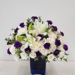 Violets in Blue