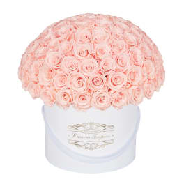 Large dome of pale pink roses in a white hatbox