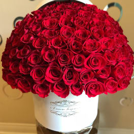 Large dome of red roses arranged tightly in a white hatbox container
