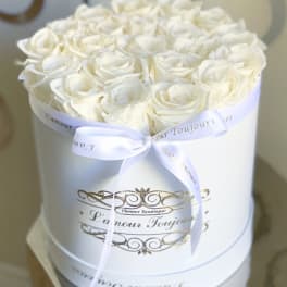 Round white hat box filled with tightly packed white roses and tied with a white ribbon